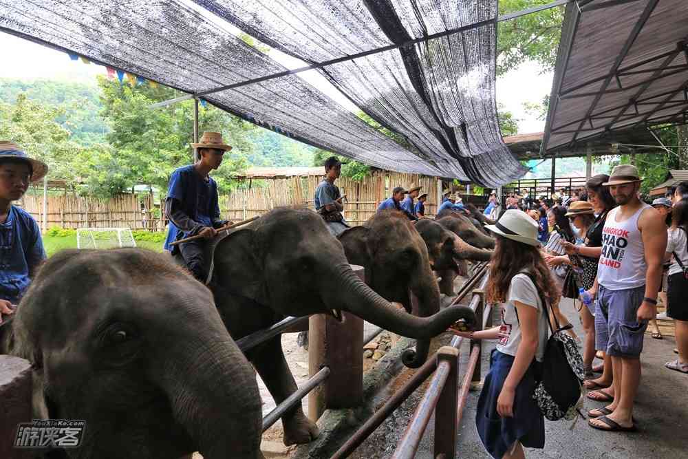 泰国10月份要免签证费了？清迈古城旅游更方便