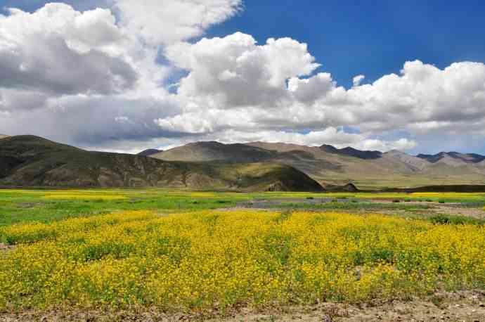 关于西藏日喀则旅游的常见15个问题