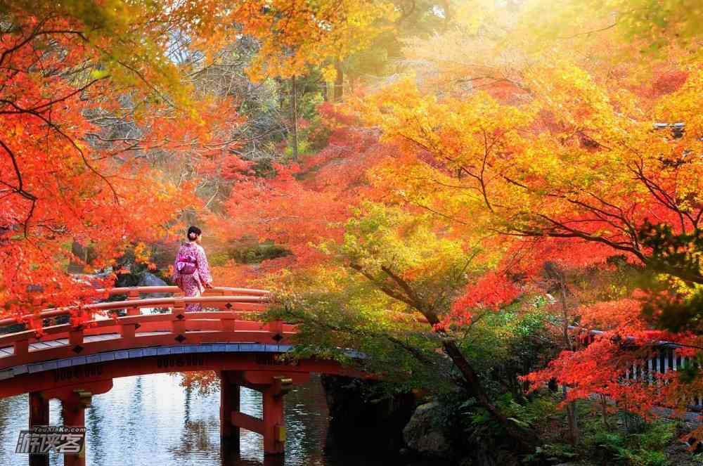 日本红叶季是什么时间？红叶摄影时间怎么安排？