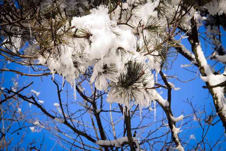 【杭州周边】冬季踏雪好去处