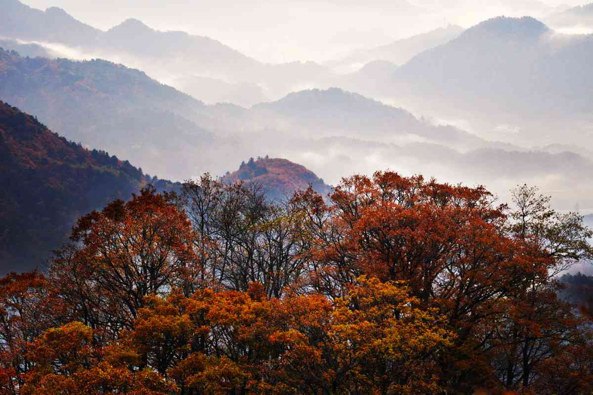 大别山秋色可以看哪些景点