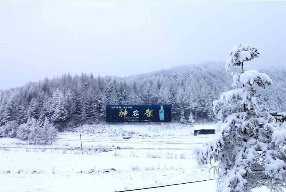 武汉的冬天应该去哪玩（滑雪篇）