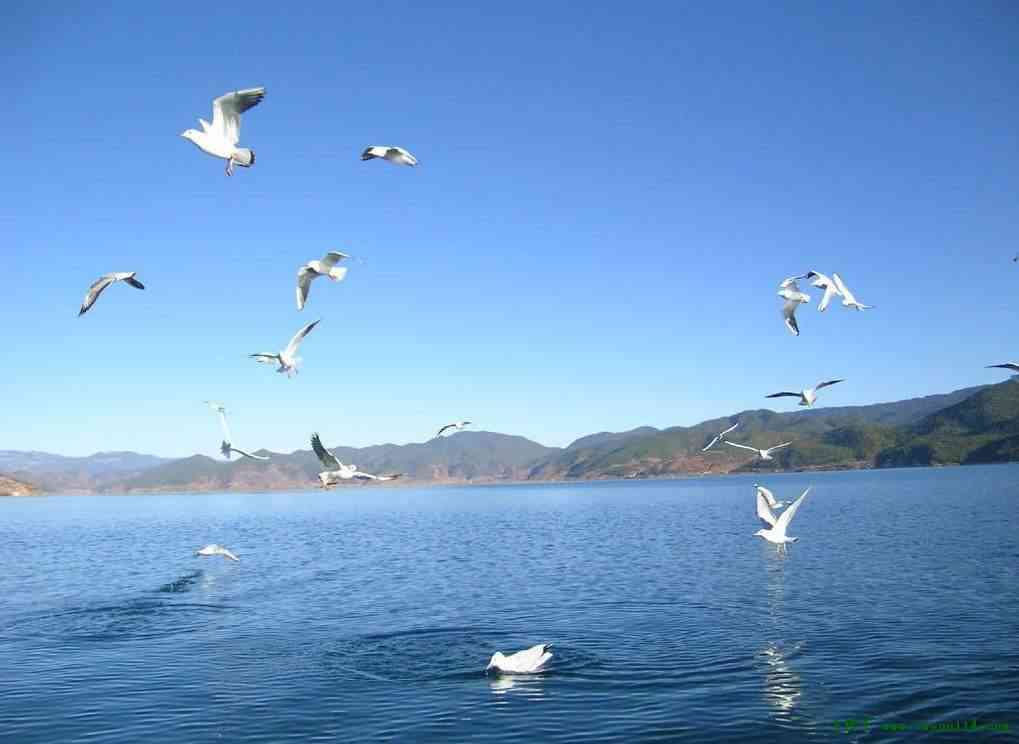 青海湖旅游常识 青海旅游注意事项