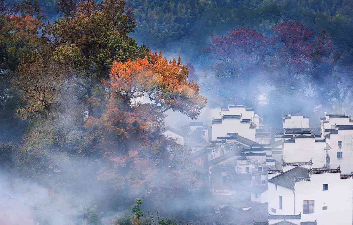 什么时候去婺源，是醉美秋天？