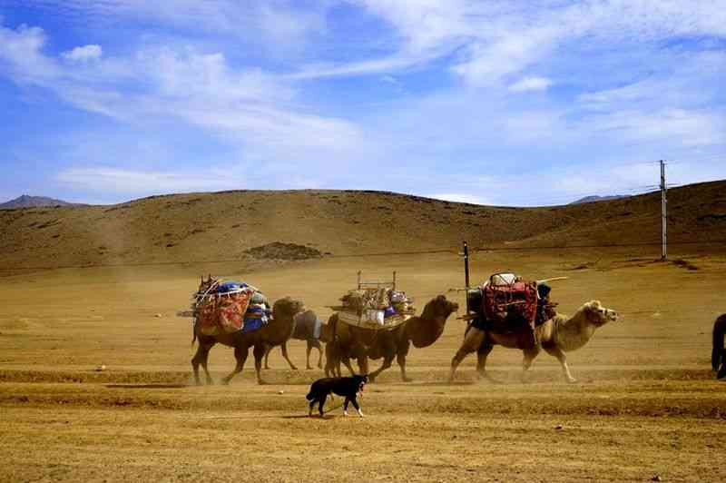 被世间遗落的珍宝—大美新疆，新疆旅游攻略