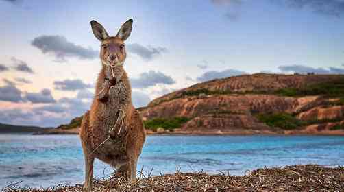 去澳洲旅游多少钱_澳洲自由行包车费用_澳洲旅游线路推荐