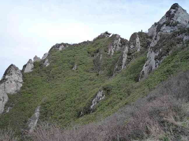 莲花山自然保护区