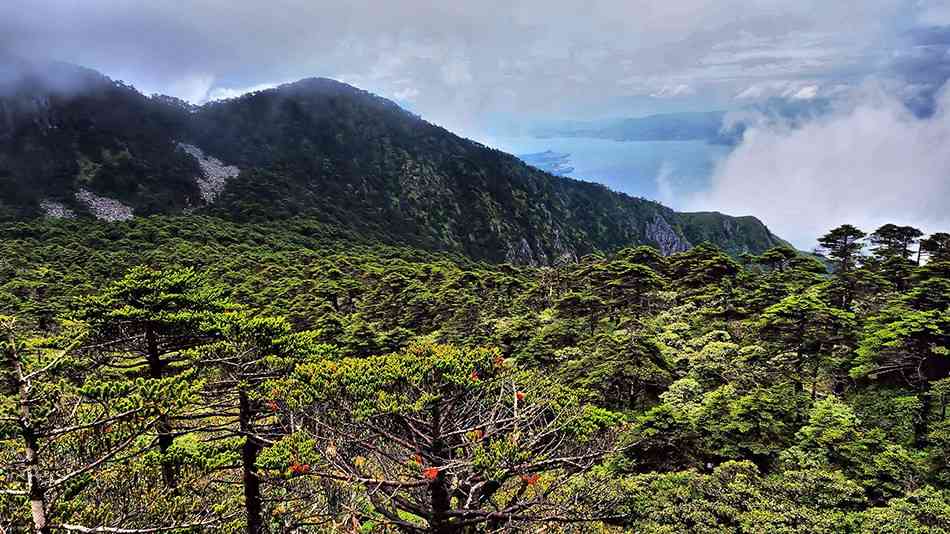 大理古城必去景点，去大理旅游可以逛哪里