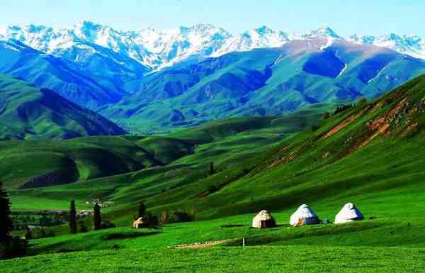 新疆一年中最美是何时？