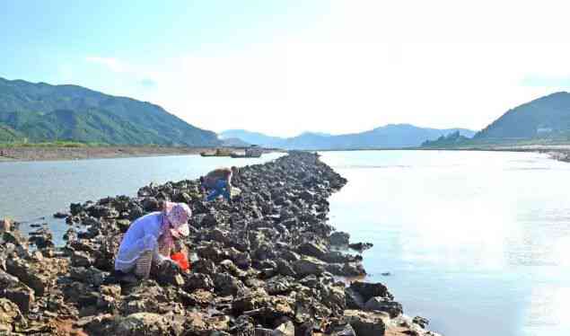 霞浦民俗，什么是“讨小海”