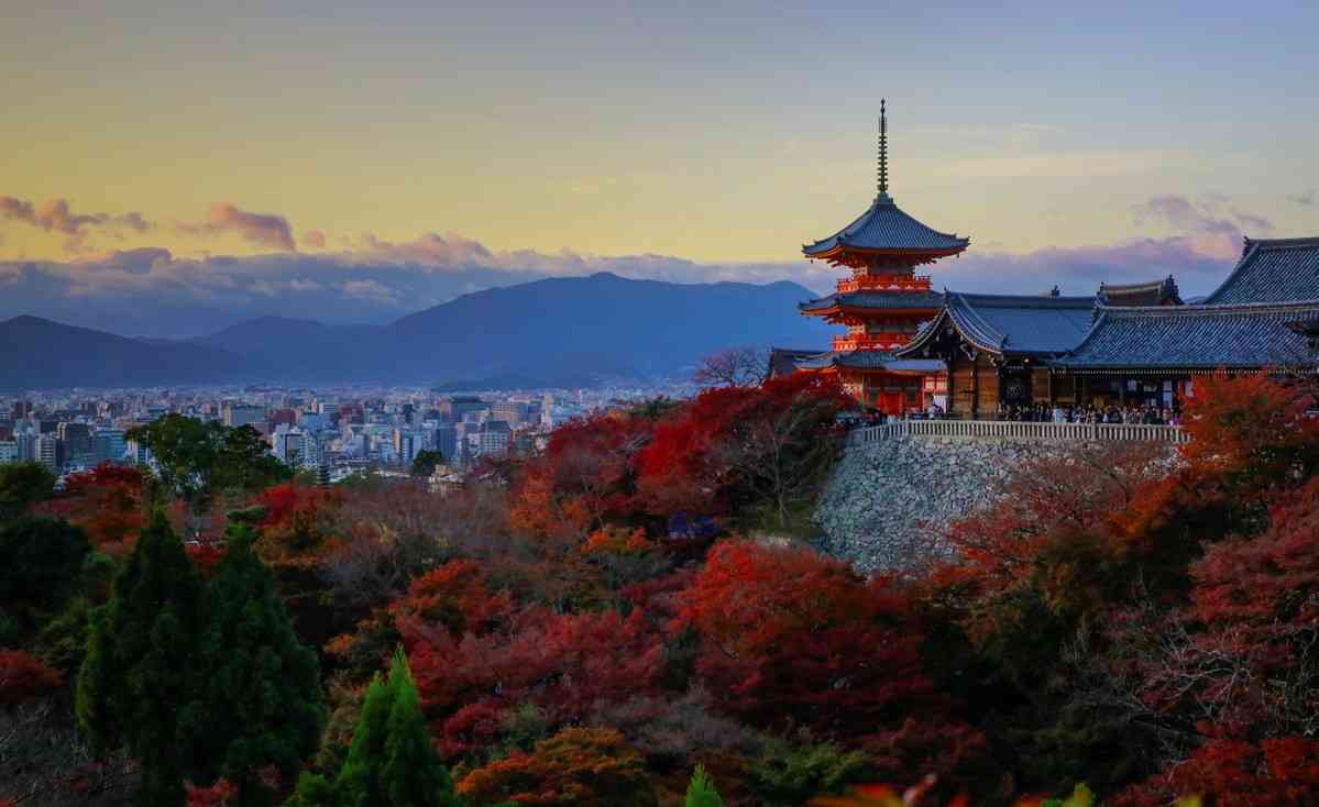 日本旅游签证攻略,个人签证如何办理
