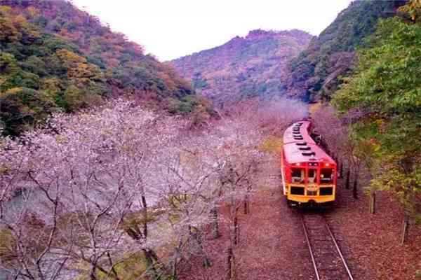 注意！日本旅行的5大误区！