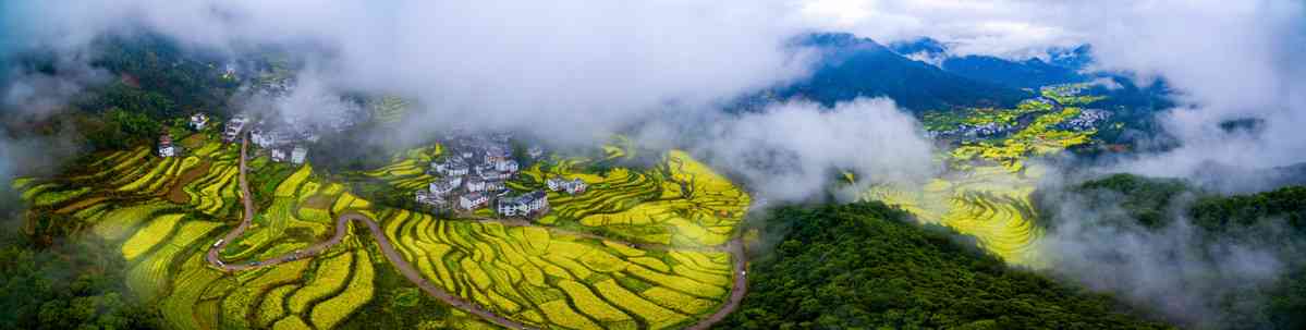 去江西旅游，除了婺源油菜花还有哪里可以玩？