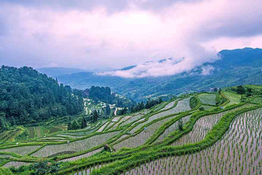 贵州加榜梯田之旅，加榜梯田游玩攻略