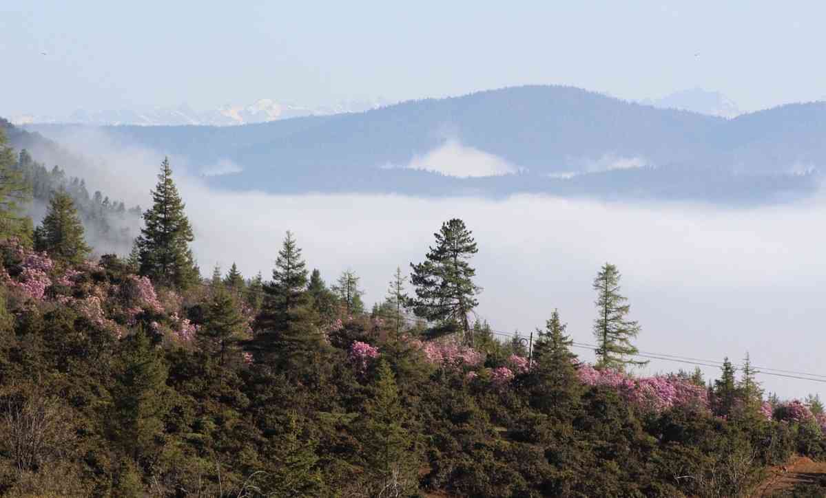 云南旅游攻略，云南各地天气如何