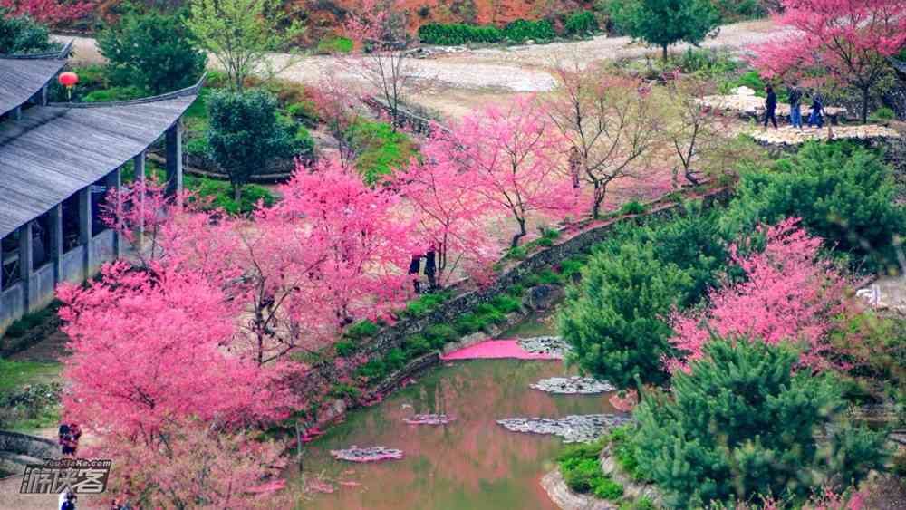 广州春天去哪里旅游