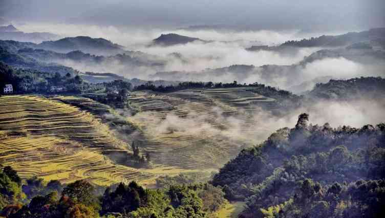 黔北旅行攻略之八(宝源梯田)