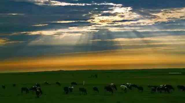 没有想到，内蒙古的草原撑起了影视剧的半边天