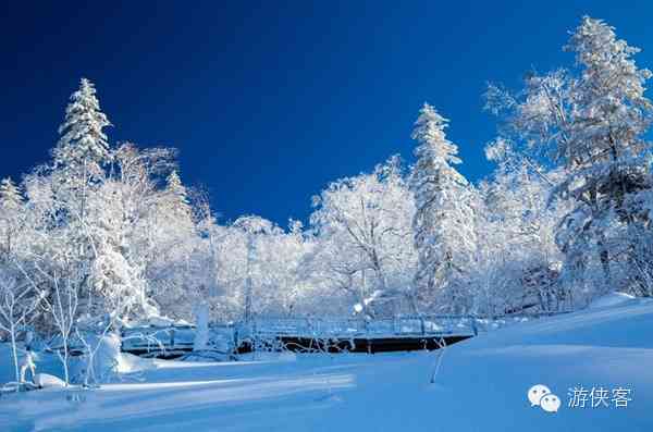 雪乡·雪谷·雪村·雪岭，东北雪景哪里最美？