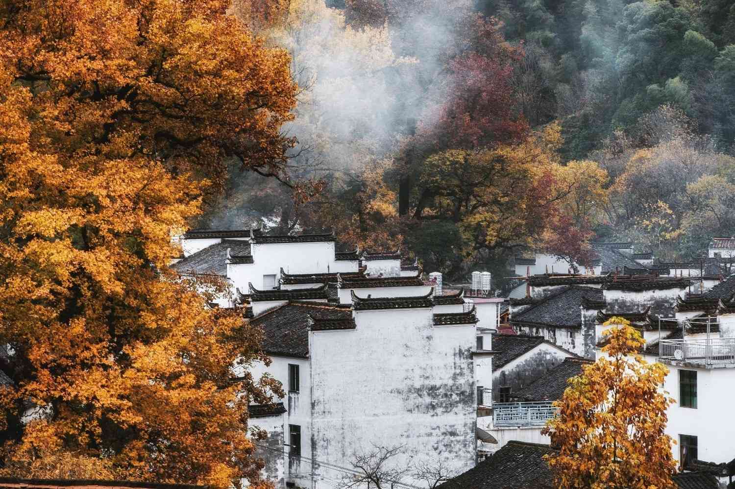 华东秋色推荐，婺源篁岭晒秋什么时候开始？