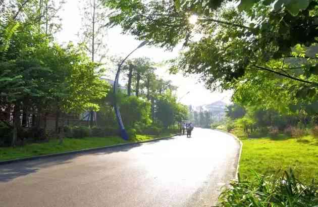 柳州的这些公园，是跑步的绝佳去处