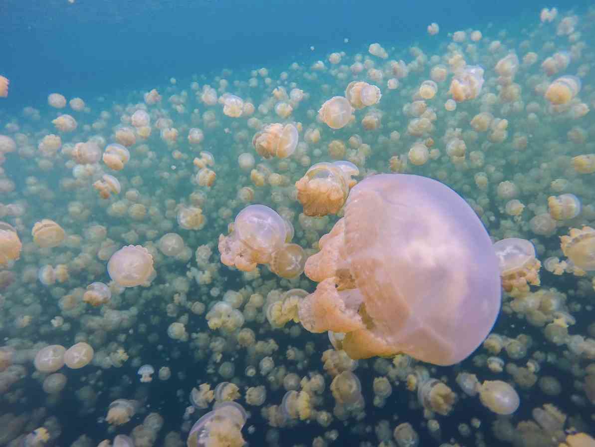 十大绝美海岛