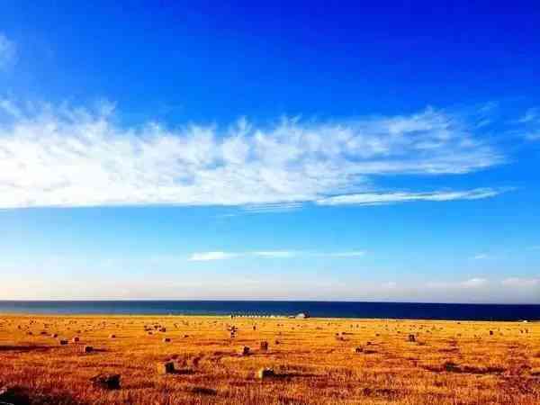 青海湖——最大的内陆湖，阔似大海！