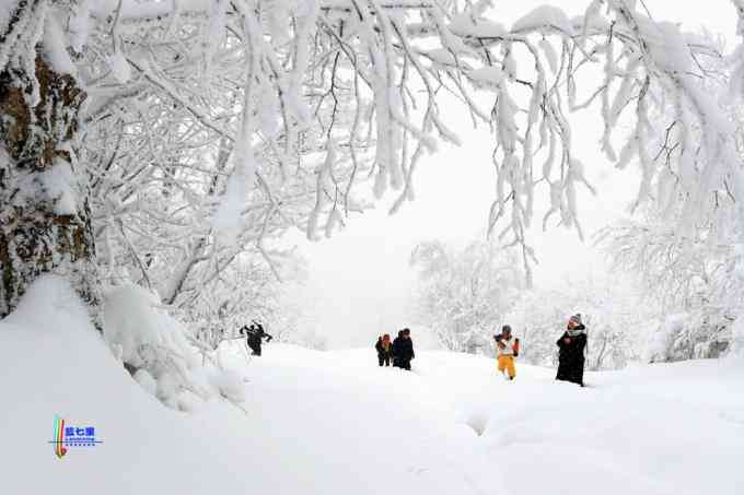 冬季拍雪哪里好？东北长白有雪岭