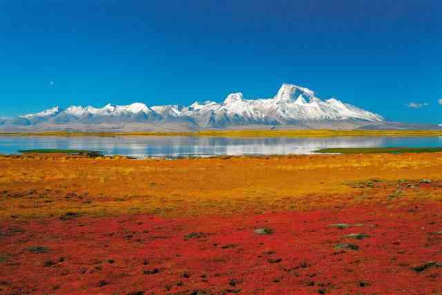 去西藏不可错过的12大著名景观
