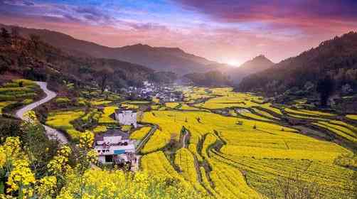 走进中国最美乡村婺源，婺源油菜花什么时候看最美？