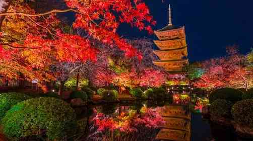 京都红叶季来啦！日本京都红叶最佳欣赏时间