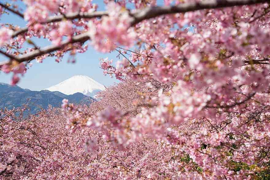 日本旅游攻略，去这些景点一次玩转日本