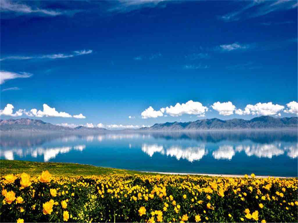 新疆美得窒息的十大花海