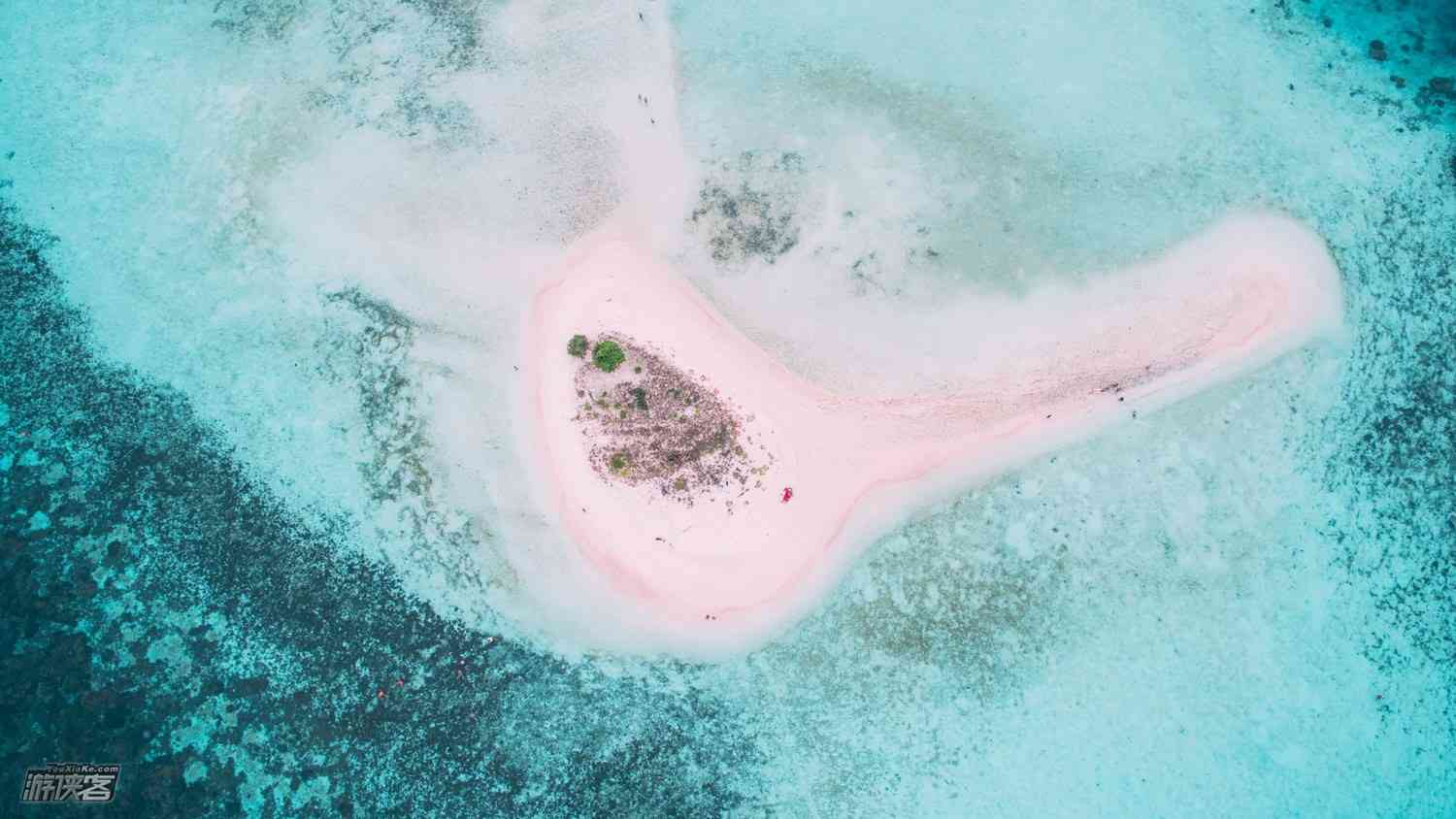 科莫多岛在哪儿？粉色沙滩有多美？