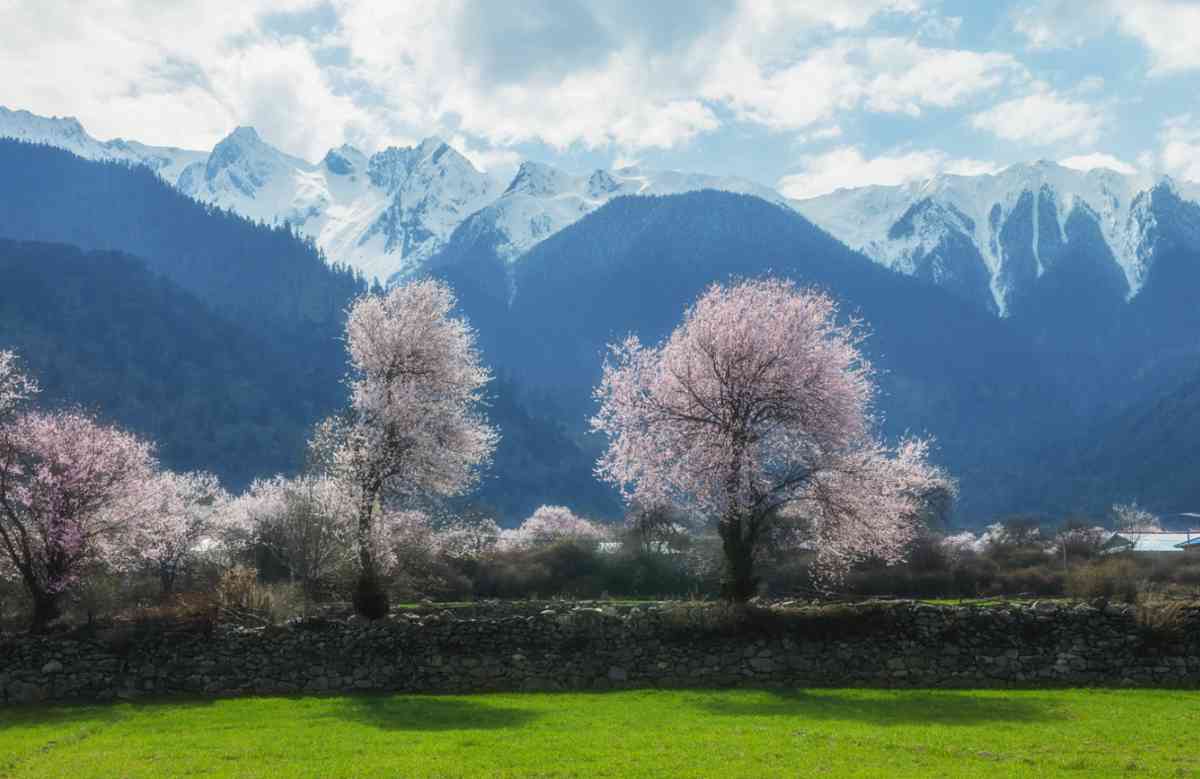 西藏旅游攻略，必去景点推荐