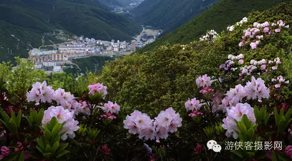 上帝为什么造四川（甘孜国际摄影大赛获奖作品选）