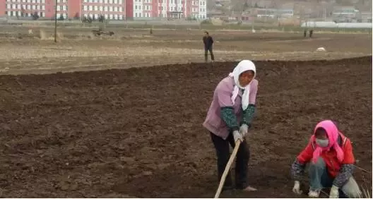 青海：黄土高坡上的女人们