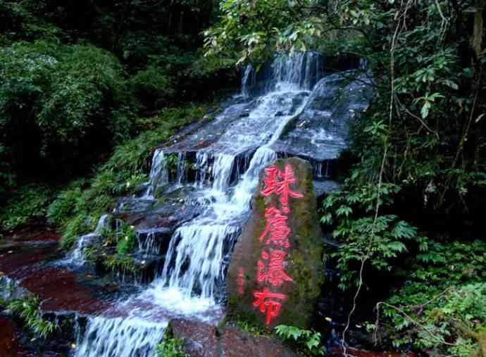 雅安碧峰峡超全旅游攻略