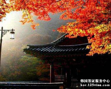 韩国签证还能办理吗？