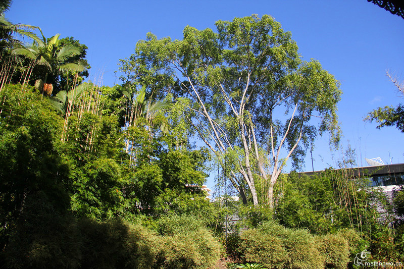 kangaroo valley