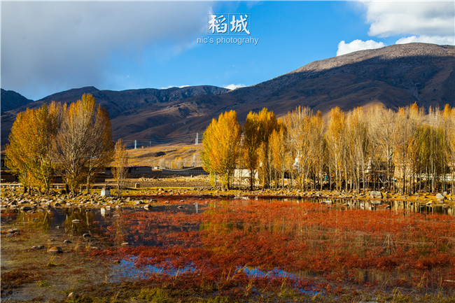 桑堆与红草滩