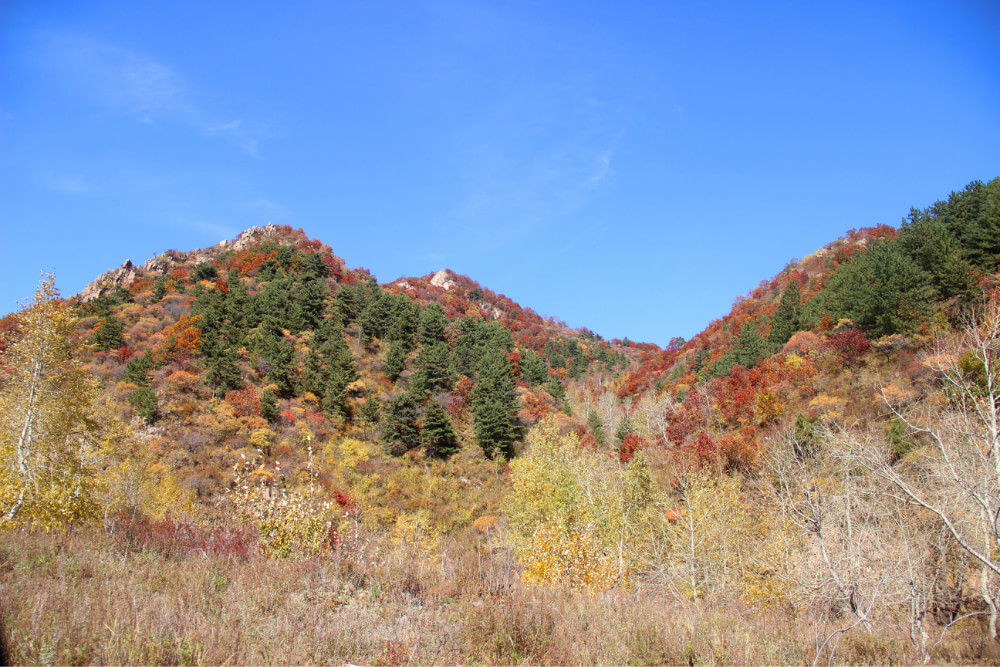 云顶山