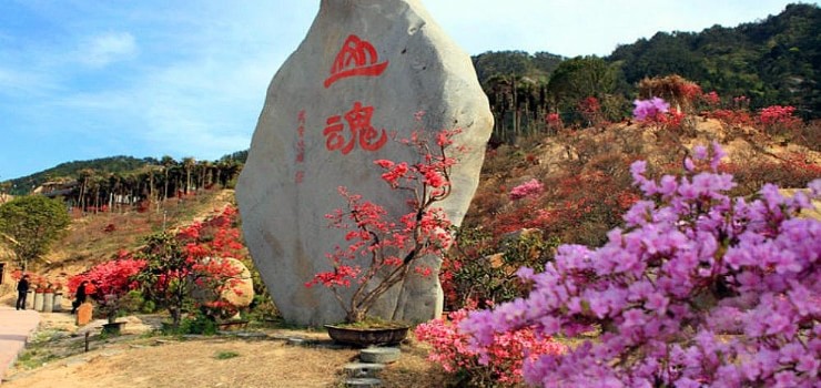 大别山映山红生态文化大观园