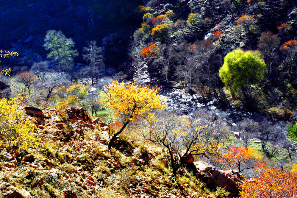 梅力更自然风景区