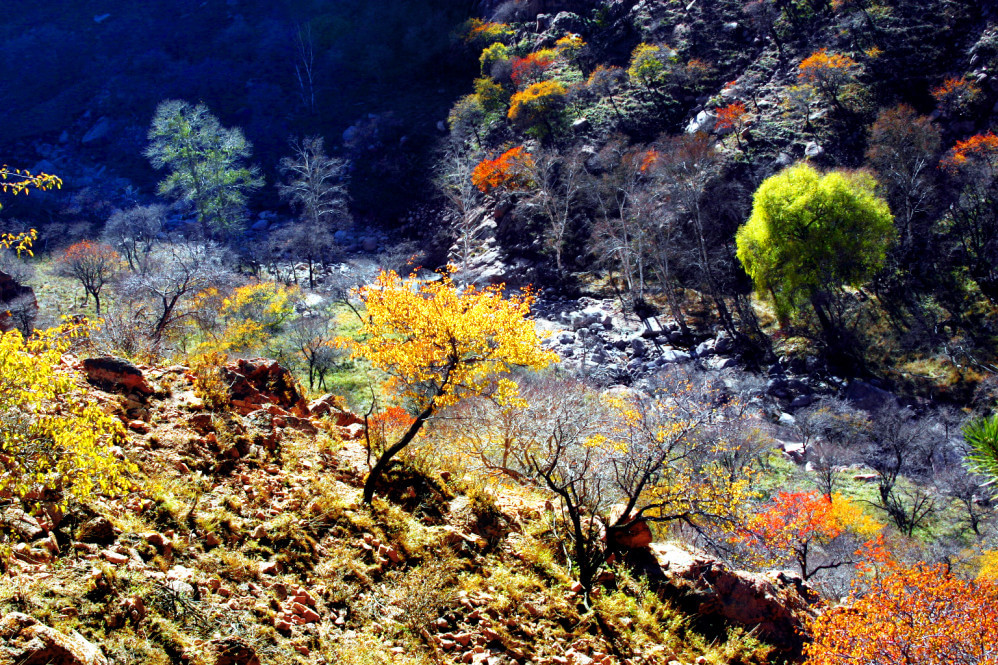 梅力更自然风景区