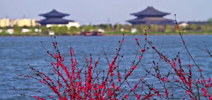 湘家荡月亮湾沙滩