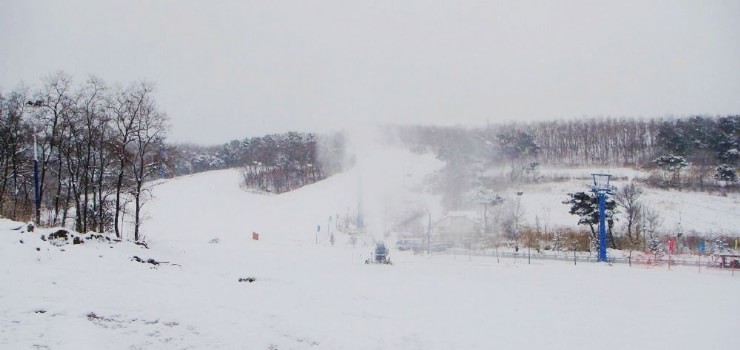 小马驹滑雪场