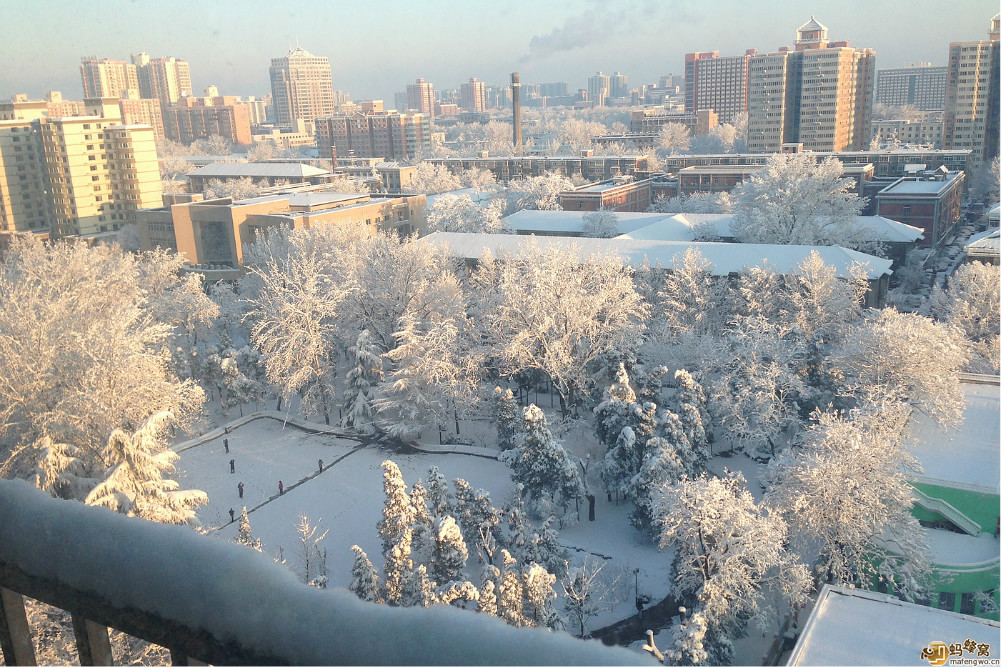 中国石油勘探开发研究院