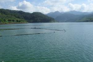 河源水秀梦境热龙温泉采摘猕猴桃客家公园两天游