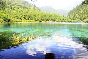 夏天成都九寨沟安全不-九寨沟国旅旅行社-在九寨沟四日游